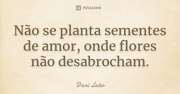 Não se planta sementes de amor, onde flores não desabrocham.... Frase de Dani Leão.
