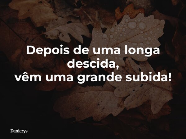 Depois de uma longa descida, vêm uma grande subida!... Frase de Danicrys.