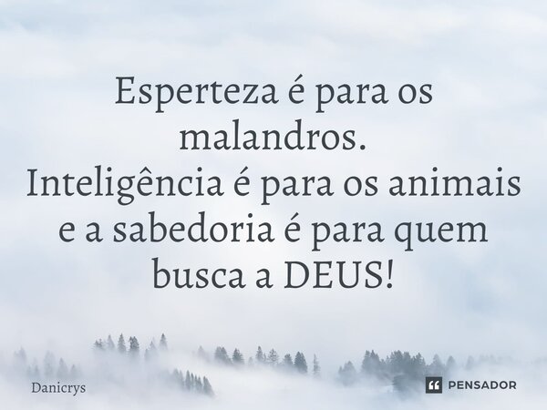 ⁠Esperteza é para os malandros. Inteligência é para os animais e a sabedoria é para quem busca a DEUS!... Frase de Danicrys.