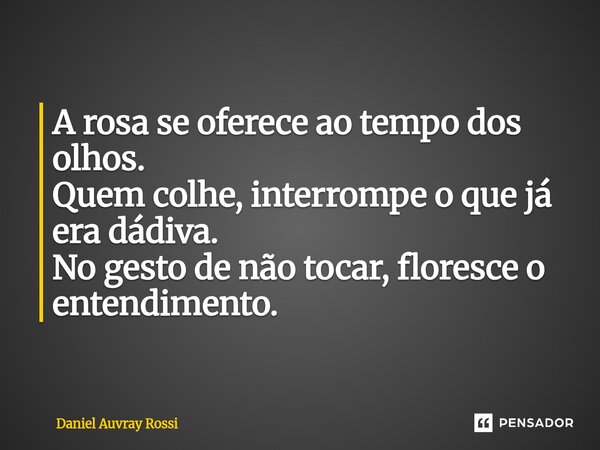 ⁠A rosa se oferece ao tempo dos olhos. Quem colhe, interrompe o que já era dádiva. No gesto de não tocar, floresce o entendimento.... Frase de Daniel Auvray Rossi.