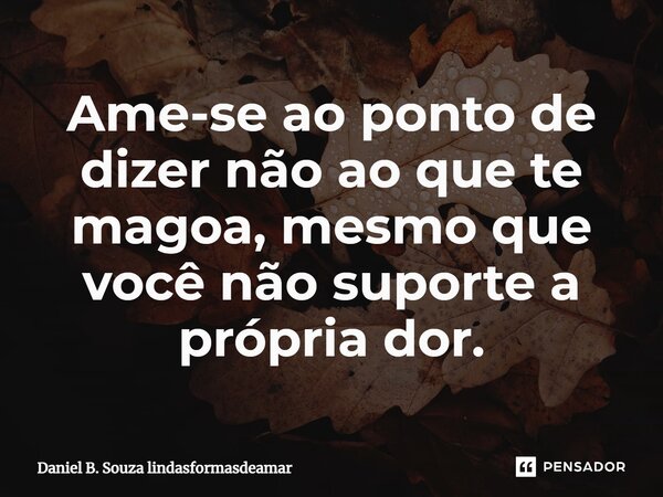 ⁠Ame-se ao ponto de dizer não ao que te magoa, mesmo que você não suporte a própria dor.... Frase de Daniel B. Souza lindasformasdeamar.