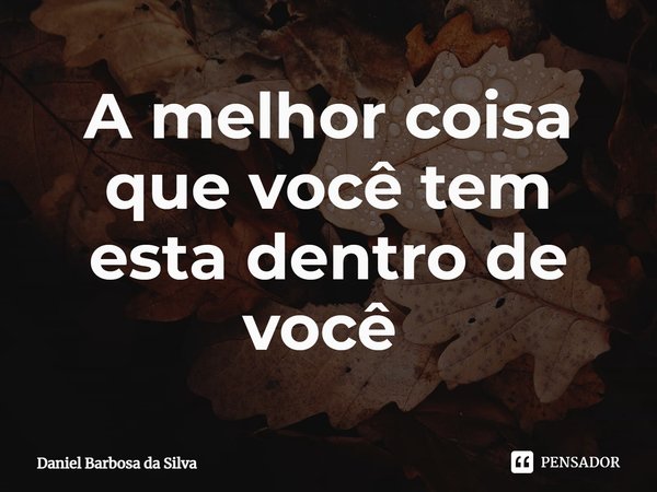 A melhor coisa que você tem esta dentro de você ⁠... Frase de Daniel Barbosa da Silva.