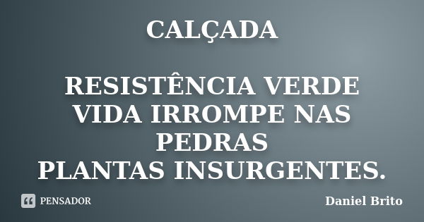 CALÇADA RESISTÊNCIA VERDE VIDA IRROMPE NAS PEDRAS PLANTAS INSURGENTES.... Frase de Daniel Brito.