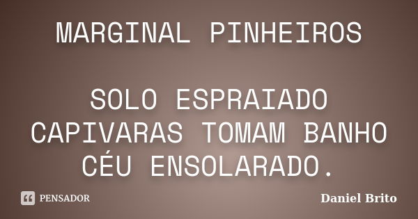 MARGINAL PINHEIROS SOLO ESPRAIADO CAPIVARAS TOMAM BANHO CÉU ENSOLARADO.... Frase de Daniel Brito.