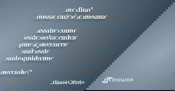 no final nossa raíz é a mesma assim como esta seiva rubra que a percorre sob este solo-epiderme percebe?... Frase de Daniel Brito.
