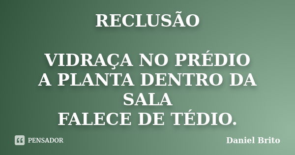 RECLUSÃO VIDRAÇA NO PRÉDIO A PLANTA DENTRO DA SALA FALECE DE TÉDIO.... Frase de Daniel Brito.