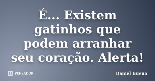 É... Existem gatinhos que podem arranhar seu coração. Alerta!... Frase de Daniel Bueno.