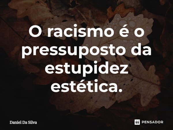 ⁠O racismo é o pressuposto da estupidez estética.... Frase de Daniel da silva.