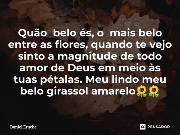 ⁠Quão belo és, o mais belo entre as flores, quando te vejo sinto a magnitude de todo amor de Deus em meio às tuas pétalas. Meu lindo meu belo girassol amarelo🌻🌻... Frase de Daniel Eruche.