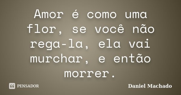 Amor é como uma flor, se você não rega-la, ela vai murchar, e então morrer.... Frase de Daniel Machado.