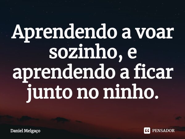 Aprendendo a voar sozinho, e aprendendo a ficar junto no ninho.... Frase de Daniel Melgaço.