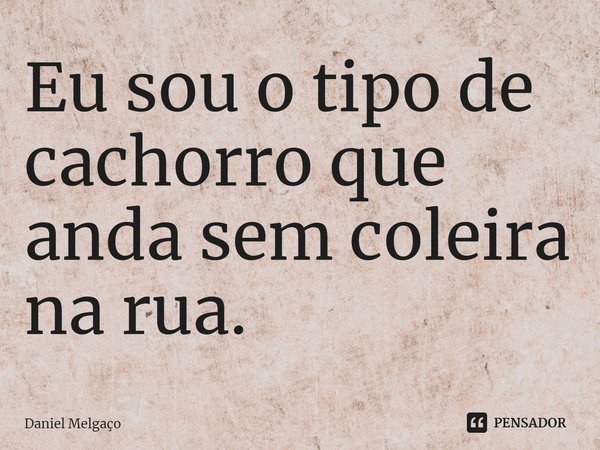 ⁠Eu sou o tipo de cachorro que anda sem coleira na rua.... Frase de Daniel Melgaço.