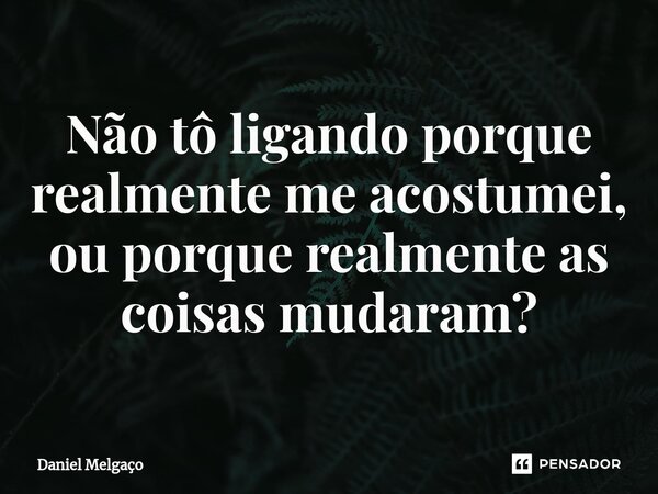 ⁠Não tô ligando porque realmente me acostumei, ou porque realmente as coisas mudaram?... Frase de Daniel Melgaço.