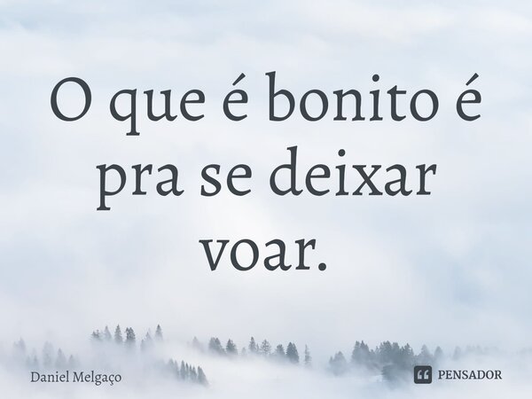 ⁠O que é bonito é pra se deixar voar.... Frase de Daniel Melgaço.