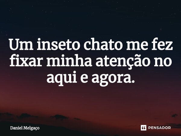 ⁠Um inseto chato me fez fixar minha atenção no aqui e agora.... Frase de Daniel Melgaço.