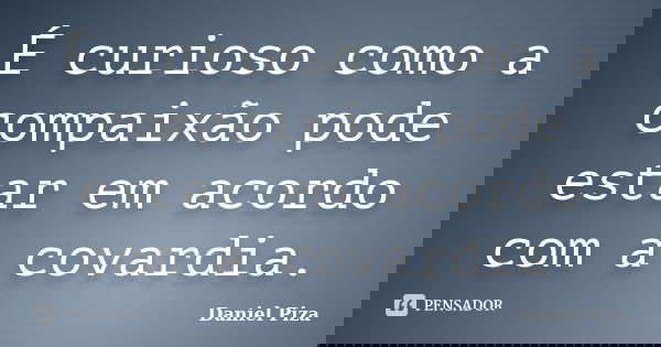 É curioso como a compaixão pode estar em acordo com a covardia.... Frase de Daniel Piza.