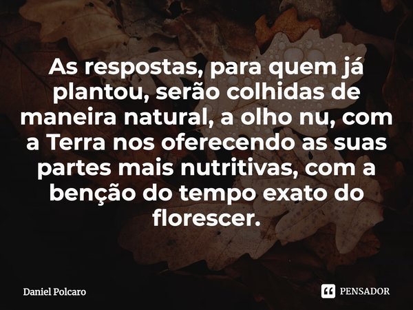 ⁠As respostas, para quem já plantou, serão colhidas de maneira natural, a olho nu, com a Terra nos oferecendo as suas partes mais nutritivas, com a benção do te... Frase de Daniel Polcaro.