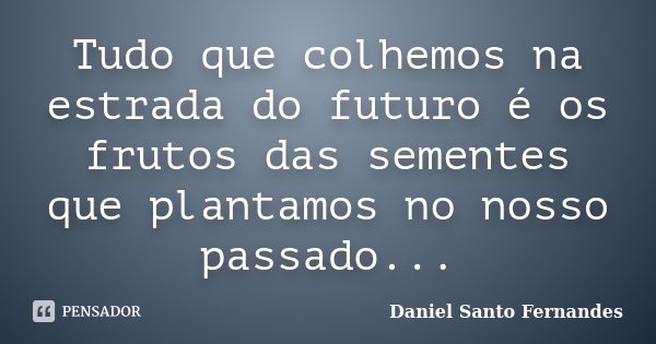Tudo que colhemos na estrada do futuro é os frutos das sementes que plantamos no nosso passado...... Frase de Daniel Santo Fernandes.
