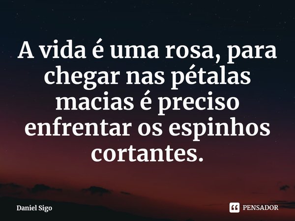 ⁠A vida é uma rosa, para chegar nas pétalas macias é preciso enfrentar os espinhos cortantes.... Frase de Daniel Sigo.