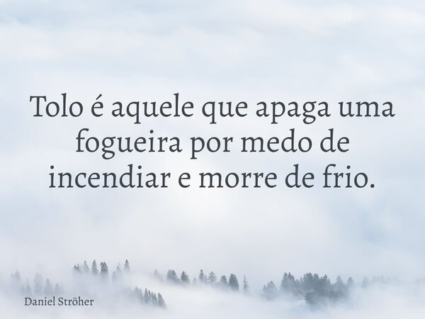 Tolo é aquele que apaga uma fogueira por medo de incendiar e morre de frio.... Frase de Daniel Ströher.