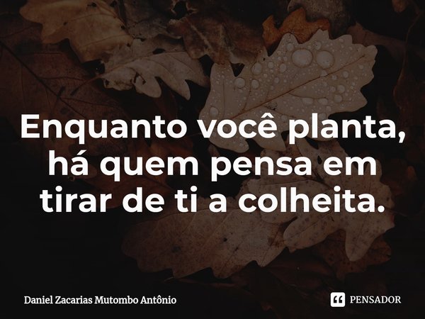 ⁠
Enquanto você planta, há quem pensa em tirar de ti a colheita.... Frase de Daniel Zacarias Mutombo Antônio.