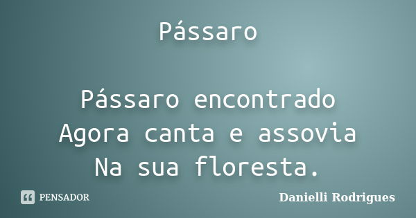 Pássaro Pássaro encontrado Agora canta e assovia Na sua floresta.... Frase de Danielli Rodrigues.