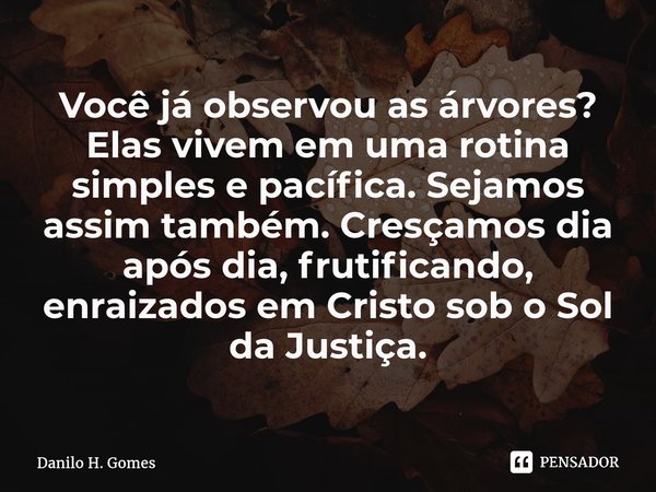 ⁠Você já observou as árvores? Elas vivem em uma rotina simples e pacífica. Sejamos assim também. Cresçamos dia após dia, frutificando, enraizados em Cristosob o... Frase de Danilo H. Gomes.