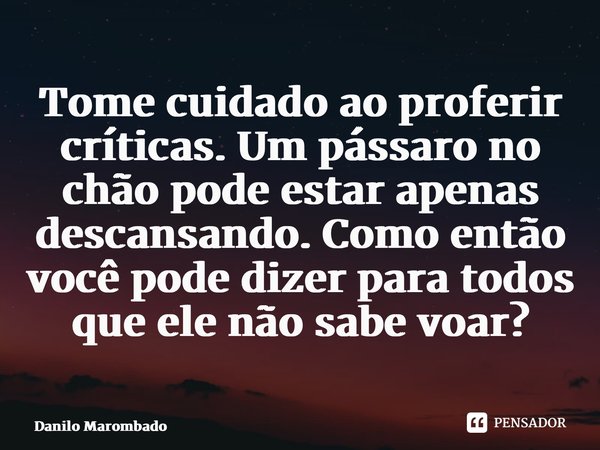 ⁠Tome cuidado ao proferir críticas. Um pássaro no chão pode estar apenas descansando. Como então você pode dizer para todos que ele não sabe voar?... Frase de Danilo Marombado.