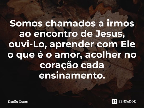 ⁠Somos chamados a irmos ao encontro de Jesus, ouvi-Lo, aprender com Ele o que é o amor, acolher no coração cada ensinamento.... Frase de Danilo Nunes.