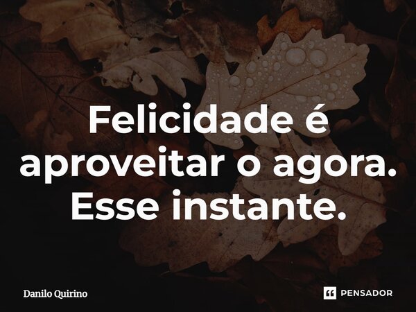⁠Felicidade é aproveitar o agora. Esse instante.... Frase de Danilo Quirino.