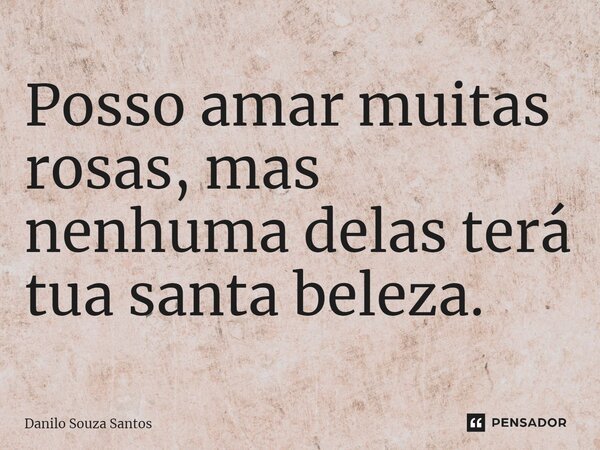 Posso amar muitas rosas, mas nenhuma delas terá tua santa beleza.... Frase de Danilo Souza Santos.