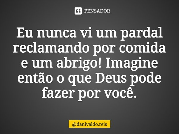 ⁠Eu nunca vi um pardal reclamando por comida e um abrigo! Imagine então o que Deus pode fazer por você.... Frase de danivaldo.reis.