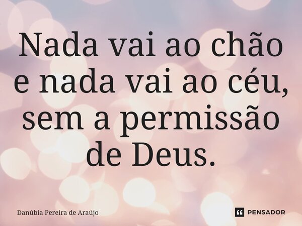 Nada vai ao chão e nada vai ao céu, sem a permissão de Deus.... Frase de Danúbia Pereira de Araújo.