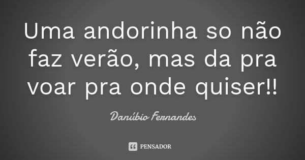 Uma andorinha so não faz verão, mas da pra voar pra onde quiser!!... Frase de Danubio Fernandes.