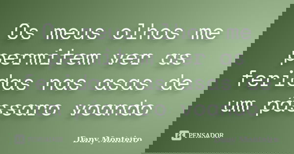 Os meus olhos me permitem ver as feridas nas asas de um pássaro voando... Frase de Dany Monteiro.