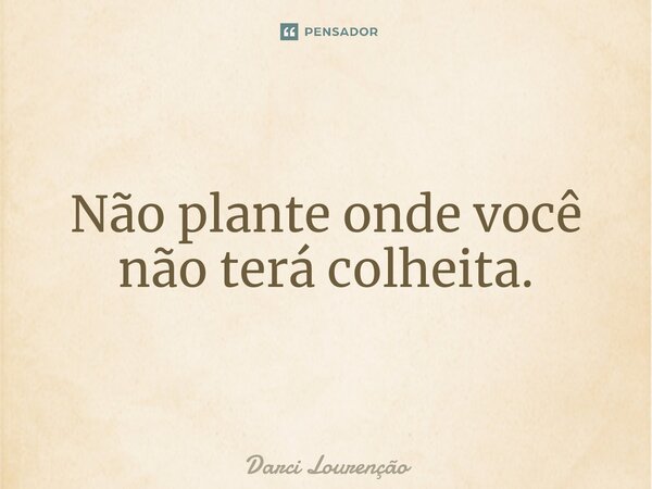 ⁠Não plante onde você não terá colheita.... Frase de Darci Lourenção.