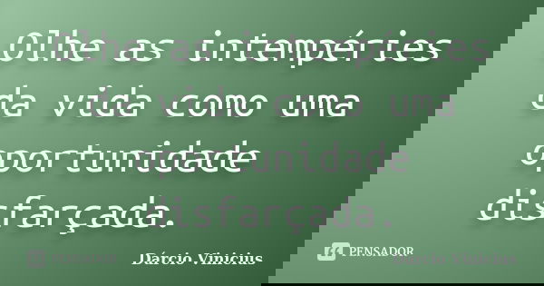 Olhe as intempéries da vida como uma oportunidade disfarçada.... Frase de Dárcio Vinícius.