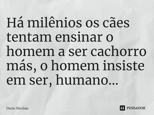 ⁠Há milênios os cães tentam ensinar o homem a ser cachorro más, o homem insiste em ser, humano...... Frase de Dario Nicolau.