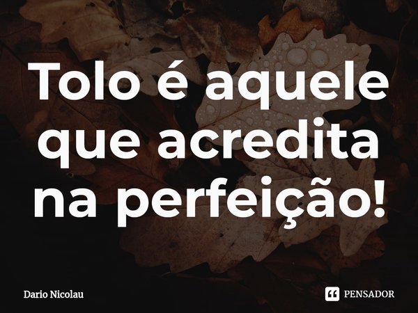 ⁠Tolo é aquele que acredita na perfeição!... Frase de Dario Nicolau.