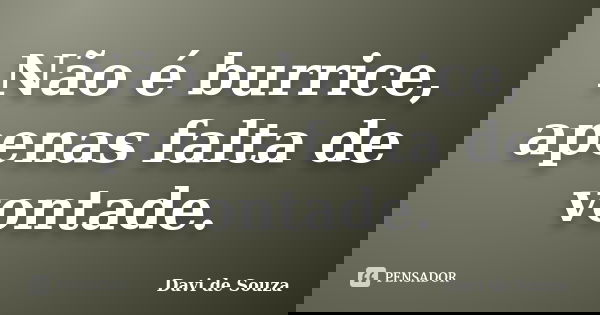 Não é burrice, apenas falta de vontade.... Frase de Davi de Souza.