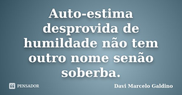 Auto-estima desprovida de humildade não tem outro nome senão soberba.... Frase de Davi Marcelo Galdino.