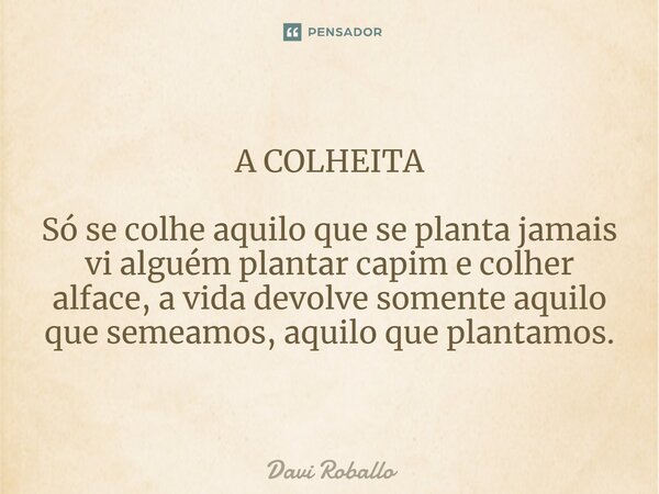 ⁠A COLHEITA Só se colhe aquilo que se planta jamais vi alguém plantar capim e colher alface, a vida devolve somente aquilo que semeamos,aquilo que plantamos.... Frase de Davi Roballo.