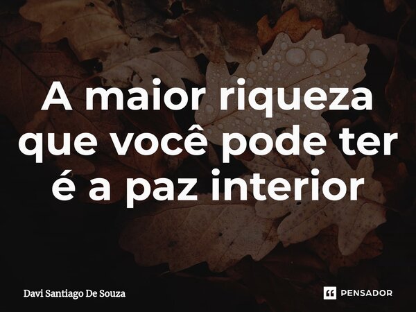 ⁠A maior riqueza que você pode ter é a paz interior... Frase de Davi Santiago De Souza.