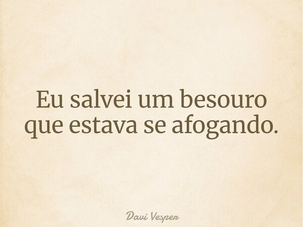 Eu salvei um besouro que estava se afogando.... Frase de Davi Vesper.