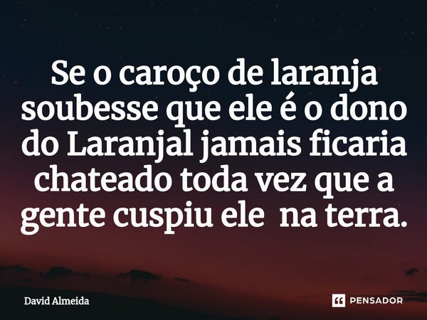 Se o caroço de laranja soubesse que ele é o dono do Laranjal jamais ficaria chateado toda vez que a gente cuspiu ele na terra.⁠... Frase de David Almeida.