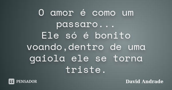 O amor é como um passaro... Ele só é bonito voando,dentro de uma gaiola ele se torna triste.... Frase de David Andrade.