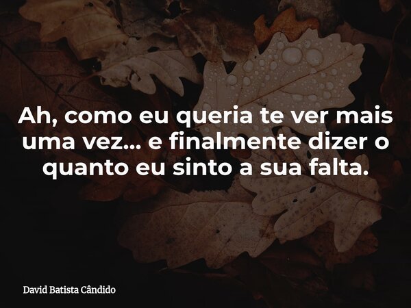 Ah, como eu queria te ver mais uma vez… e finalmente dizer o quanto eu sinto a sua falta.... Frase de David Batista Cândido.