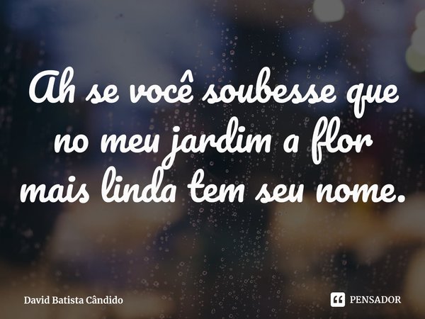 ⁠Ah se você soubesse que no meu jardim a flor mais linda tem seu nome.... Frase de David Batista Cândido.