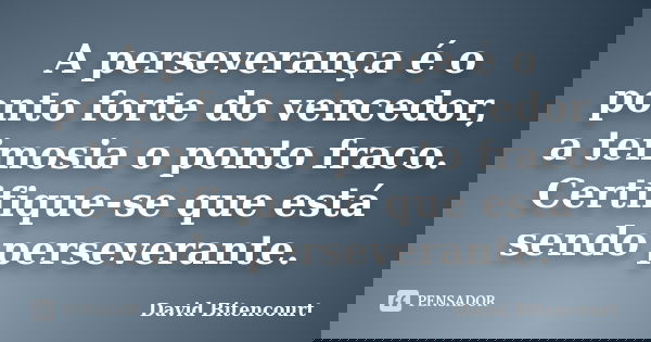 A perseverança é o ponto forte do vencedor, a teimosia o ponto fraco. Certifique-se que está sendo perseverante.... Frase de David Bitencourt.