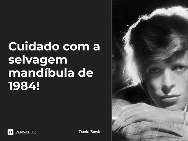 Cuidado com a selvagem mandíbula de 1984!... Frase de David Bowie.